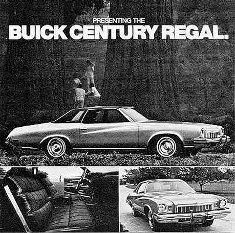 1973 Buick Ad-07