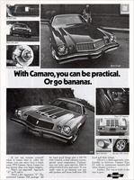 1974 Chevrolet Ad-15